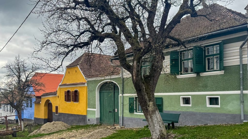 Row of brightly painted traditional houses in Viscri, with blue, yellow, and green facades along a dirt road and bare trees in the foreground.
